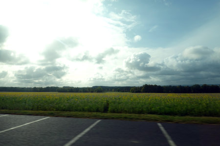 Road through the field with yellow flowers and blue sky with clouds.の写真素材