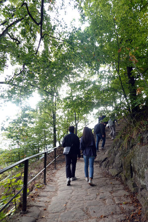 People walking on a stone path in the park in the autumn season