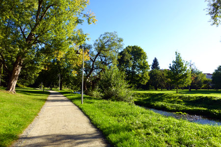 Park in the center of the city in sunny weather in early autumnの写真素材
