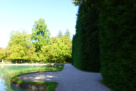 Beautiful park with a pond and a path in the park.