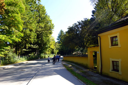 A group of people walking on the road in the park in autumn.