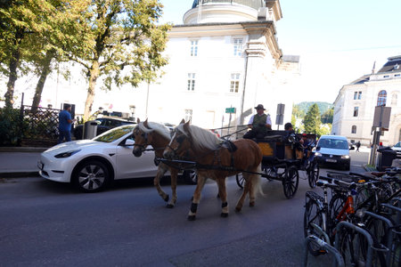 Horse drawn carriage in Vienna, Austria.の写真素材