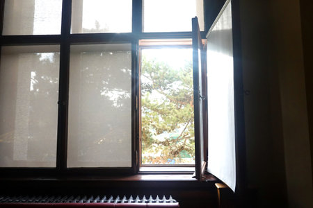 The window in the morning in the old house is open to the sun.