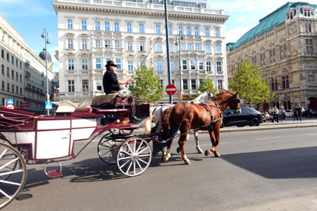 Horse drawn carriage in Vienna, Austria.
