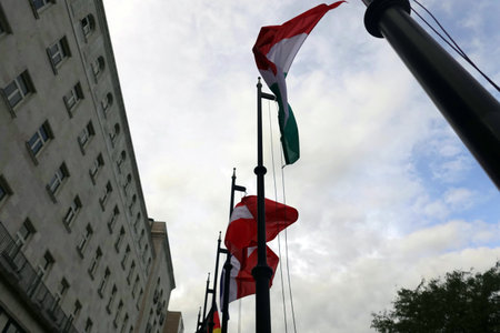 The flag of the United Arab Emirates (UAE) is waving in the windの写真素材