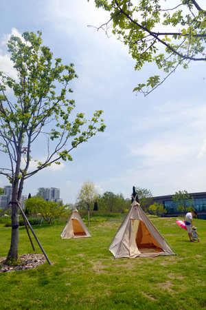 Children play in the park on the grass with a tent in the background