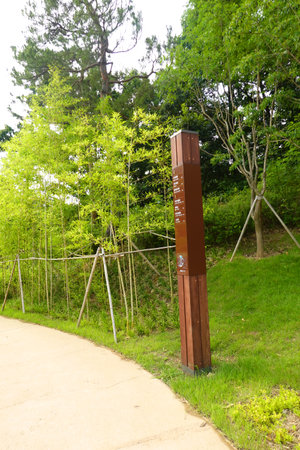 Signpost at the entrance to the park in the city park.の写真素材