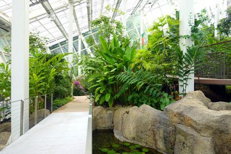 interior of a greenhouse with green plants and trees in a rowの写真素材