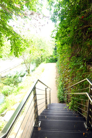 Staircase to the river with green plants in the park.