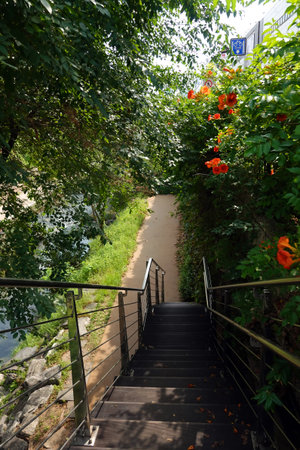 Staircase to the river in the park with red flowers.