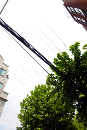 Cable-stayed wires on the street of the city.の写真素材