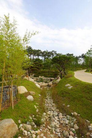 Pine trees and stone walkway in the park, Thailand.の写真素材