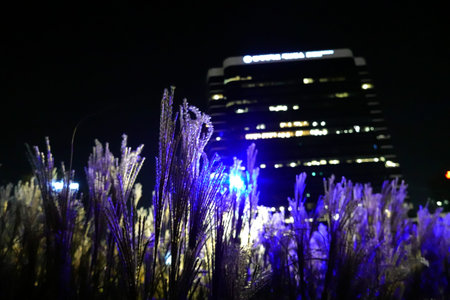 Pampas grass in the city at night, closeup of photo