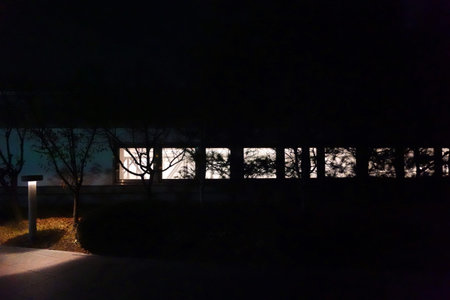 Silhouette of trees in the night at the entrance to the park