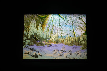 Frozen winter forest with snow covered trees. Christmas and New Year background.