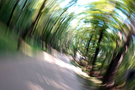 Abstract motion blur effect. Spring landscape. Road in the forest.の写真素材