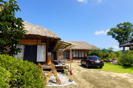 Tropical house with thatched roof in the middle of the jungleの写真素材