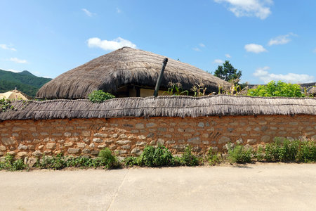 Rural house with a thatched roof in the countryside of Vietnamの写真素材