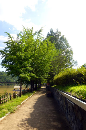 landscape of the lake in the park on a sunny summer day