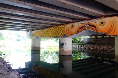 Under the bridge in Thailand, there is a beautiful orange fish.の写真素材