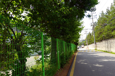 Bicycle lane in the park with green metal fence and trees.の写真素材