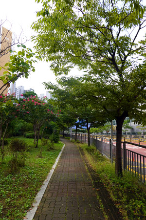Walkway in the park with trees and flowers in the city.