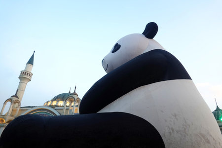 Giant panda in front of the Suleymaniye Mosque.の写真素材