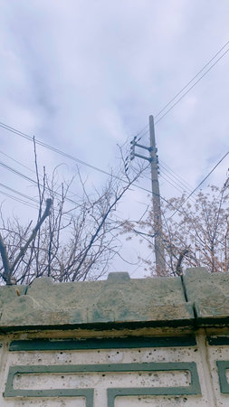 Abandoned house on the hill with tree branches and electric pole