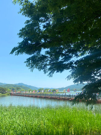 Scenic view of the lake and wooden bridge in the park.の写真素材