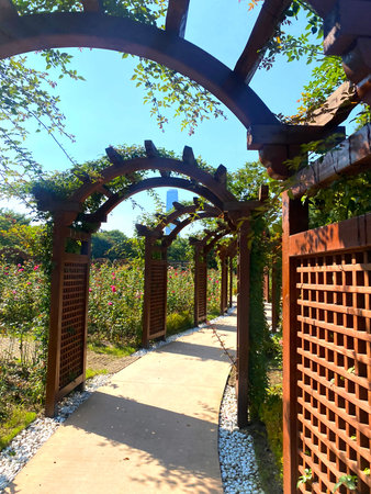 A walkway in the garden with an archway made of wood.