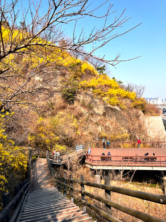 Tourists walking on the stairs to the top of the mountain.の写真素材