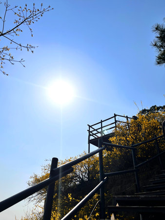Sunlight and blue sky in the park, closeup of photo