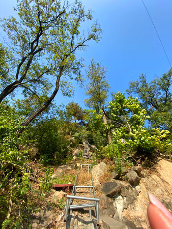 Mountain landscape with a metal ladder in the middle of the forest