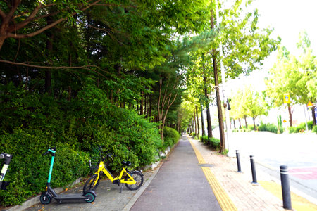 Bicycle parking in the city park with green trees and bushes.の写真素材