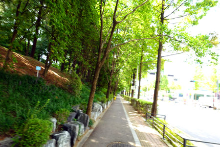 Bicycle path in the park with green trees. Blurred background