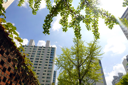 Green leaves and buildings in the city, Tokyo, Japan. View from below.