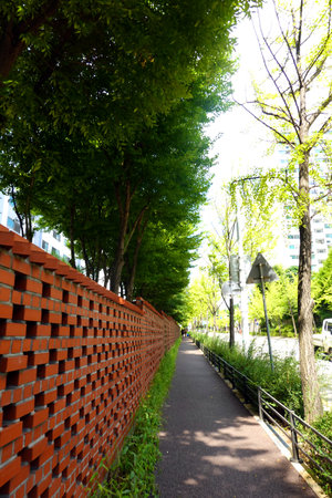 Walkway in city park with red brick wall and green trees.の写真素材