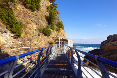Wooden bridge leading to the sea, Cape Town, South Africaの写真素材