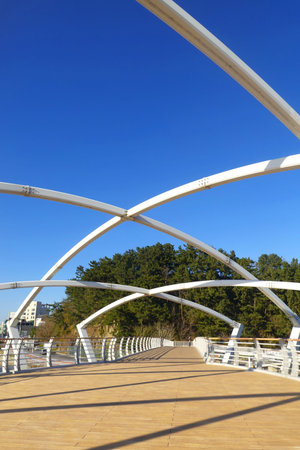 Wooden bridge over the river in the park, closeup of photo