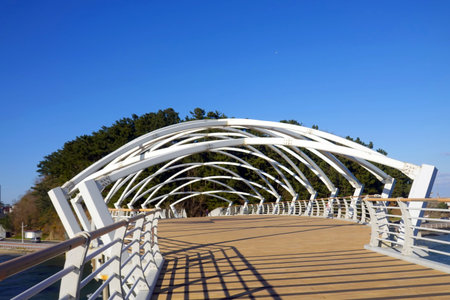 Pedestrian bridge in the park, closeup of photo.