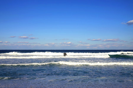 Surfer on the beach of the Caribbean Sea, Dominican Republic.の写真素材