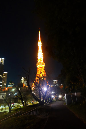 Tokyo Tower at night in Tokyo, Japan. The tower is the tallest building in the world.の写真素材