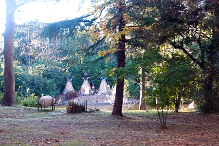 A herd of horses in the park at the end of autumn.