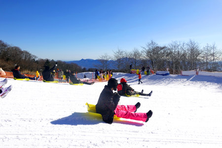 Children slide down the hill on a snowboard in the winter.の写真素材