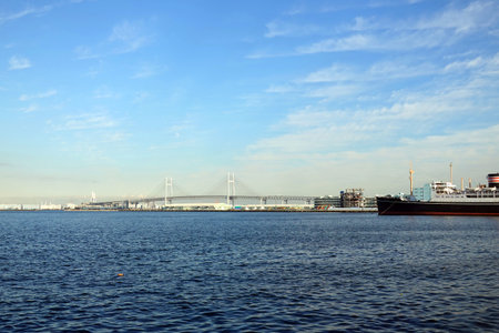 View of the bridge and the sea in Rotterdam, Hollandの写真素材