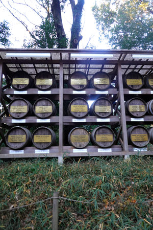 Wine barrels in a row on a wooden rack in a vineyard