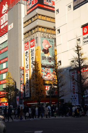 Unidentified people visit Akihabara district in Tokyo. Akihabara is one of Tokyo's major tourist destinations.の写真素材