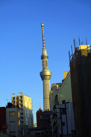 Tokyo sky tree in Tokyo, Japan. Tokyo sky tree is the tallest structure in the world.の写真素材