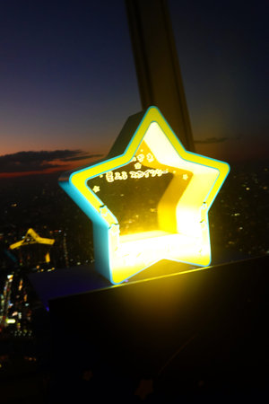 Signboard in the shape of a star on the background of the night city