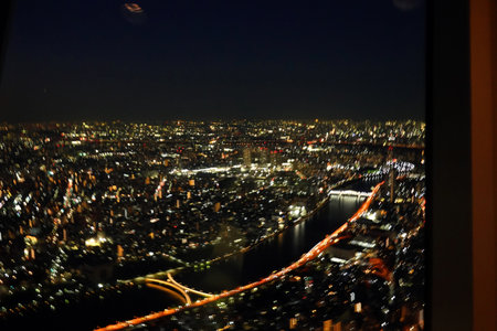Night view of the city from the observation deck of the observation deckの写真素材